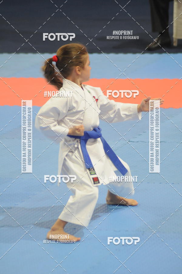 Buy your photos of the eventCampeonato Brasileiro Karate on Fotop