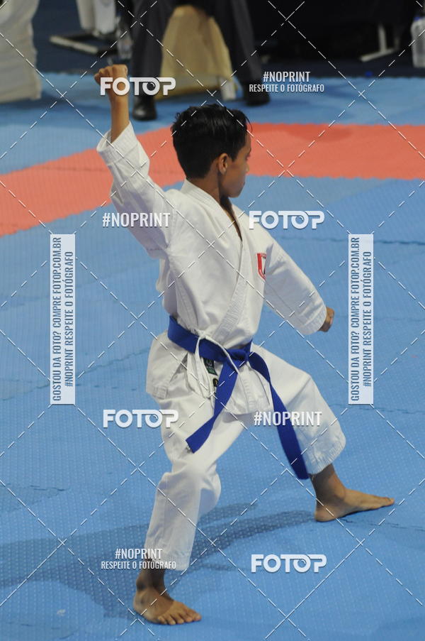 Buy your photos of the eventCampeonato Brasileiro Karate on Fotop
