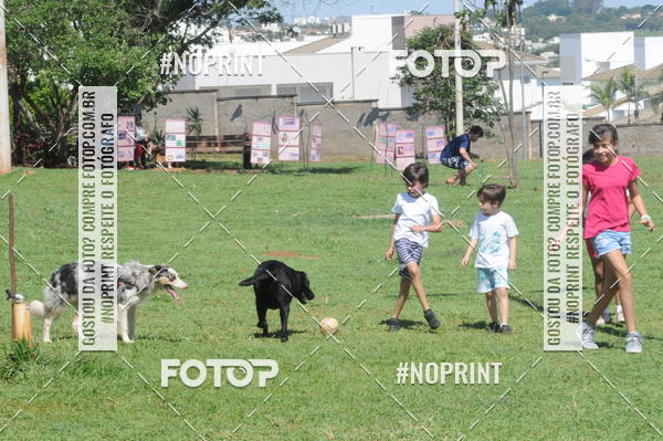 Buy your photos of the eventEnsaio Fotografico Pets - LuClickPets - Fotografia de Animais on Fotop