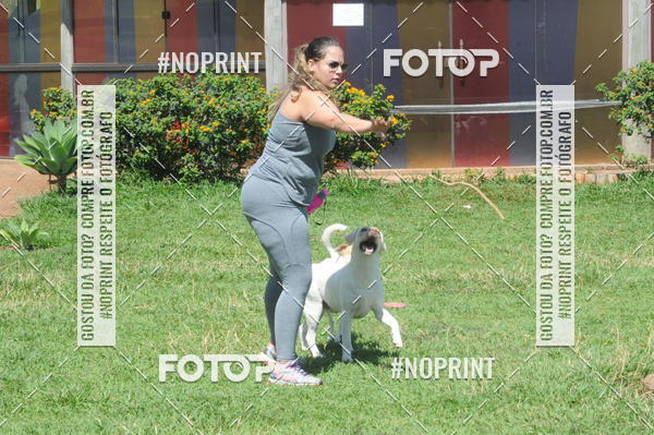 Buy your photos of the eventEnsaio Fotografico Pets - LuClickPets - Fotografia de Animais on Fotop