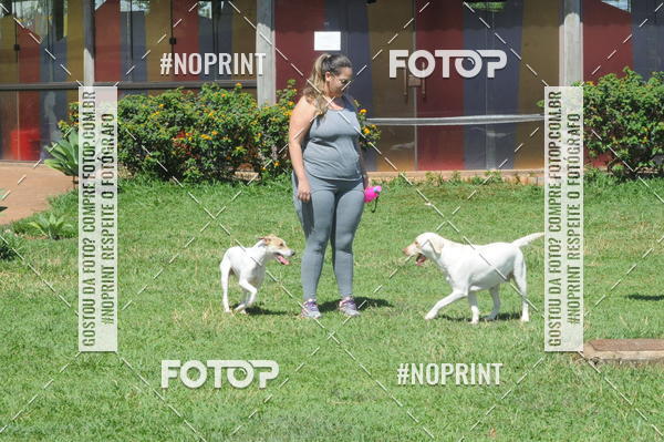 Buy your photos of the eventEnsaio Fotografico Pets - LuClickPets - Fotografia de Animais on Fotop