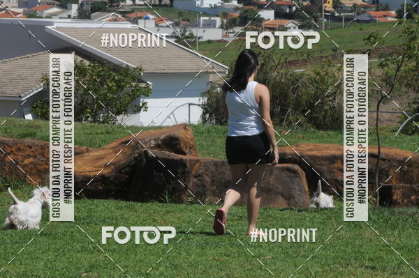 Buy your photos of the eventEnsaio Fotografico Pets - LuClickPets - Fotografia de Animais on Fotop