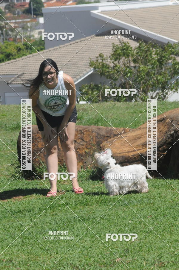 Buy your photos of the eventEnsaio Fotografico Pets - LuClickPets - Fotografia de Animais on Fotop