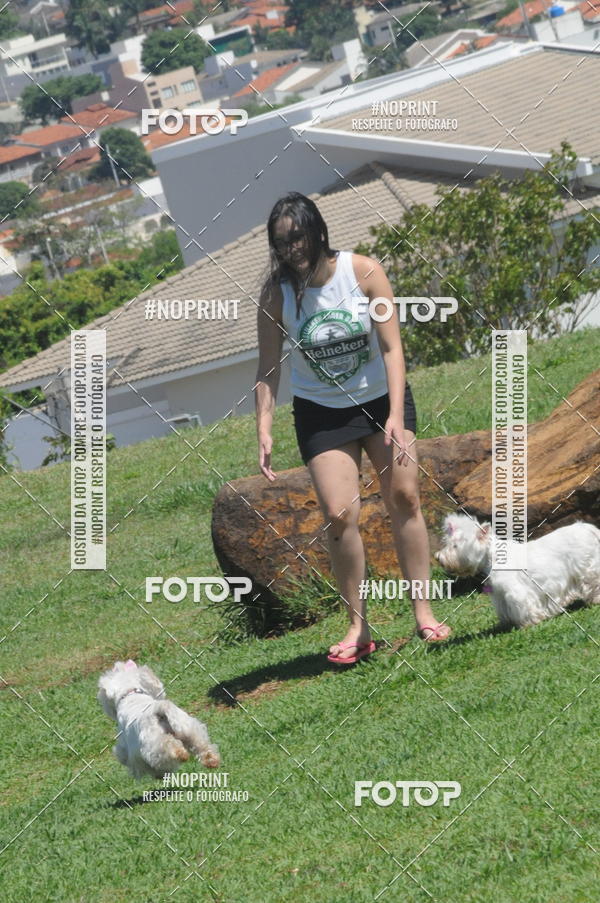 Buy your photos of the eventEnsaio Fotografico Pets - LuClickPets - Fotografia de Animais on Fotop