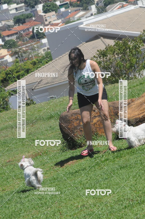 Buy your photos of the eventEnsaio Fotografico Pets - LuClickPets - Fotografia de Animais on Fotop