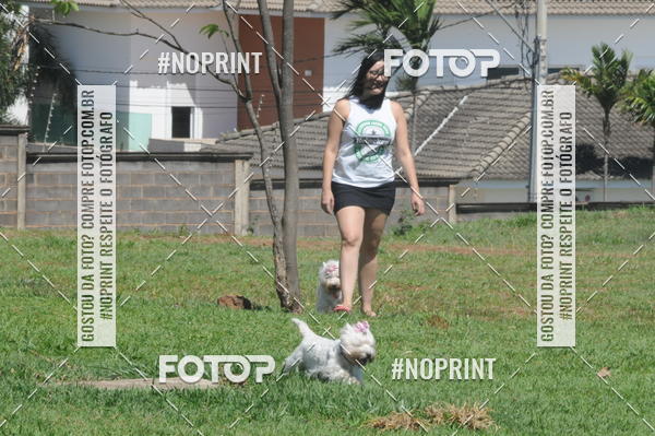 Buy your photos of the eventEnsaio Fotografico Pets - LuClickPets - Fotografia de Animais on Fotop