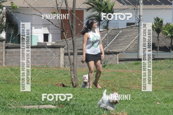 Buy your photos of the eventEnsaio Fotografico Pets - LuClickPets - Fotografia de Animais on Fotop