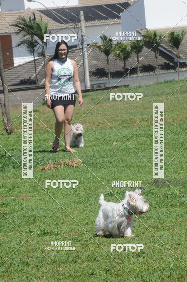 Buy your photos of the eventEnsaio Fotografico Pets - LuClickPets - Fotografia de Animais on Fotop