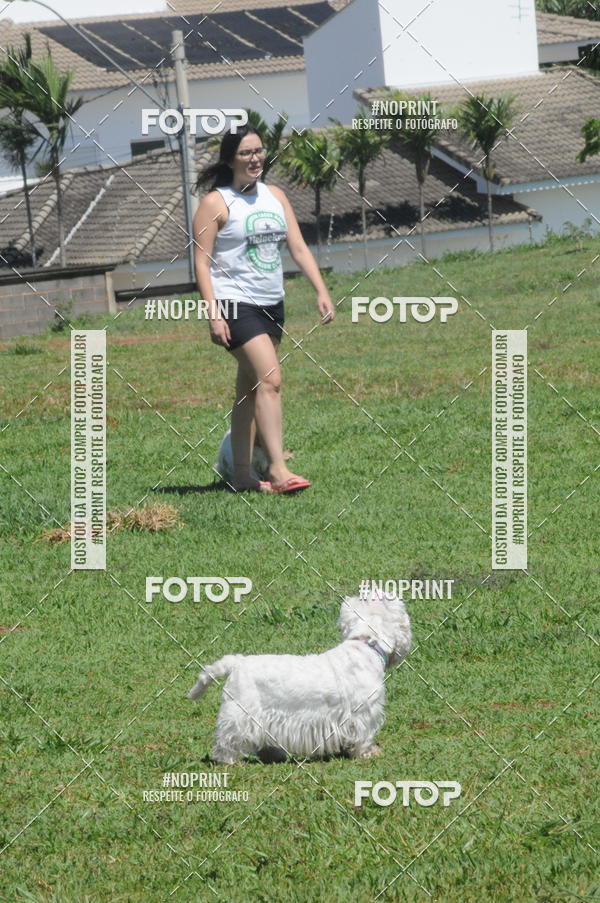 Buy your photos of the eventEnsaio Fotografico Pets - LuClickPets - Fotografia de Animais on Fotop