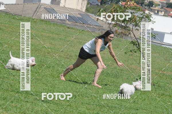 Buy your photos of the eventEnsaio Fotografico Pets - LuClickPets - Fotografia de Animais on Fotop