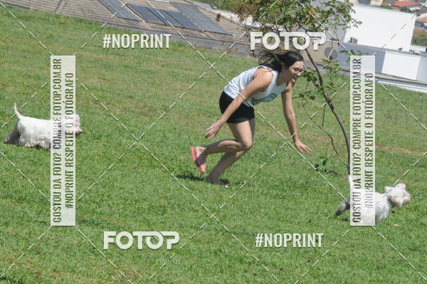 Buy your photos of the eventEnsaio Fotografico Pets - LuClickPets - Fotografia de Animais on Fotop