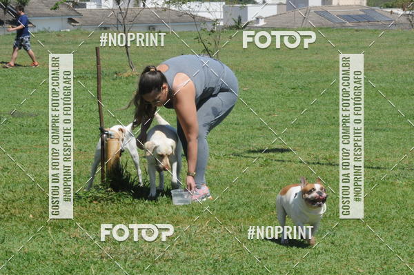 Buy your photos of the eventEnsaio Fotografico Pets - LuClickPets - Fotografia de Animais on Fotop