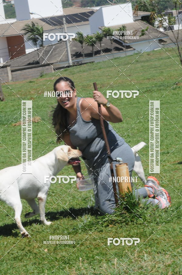 Buy your photos of the eventEnsaio Fotografico Pets - LuClickPets - Fotografia de Animais on Fotop