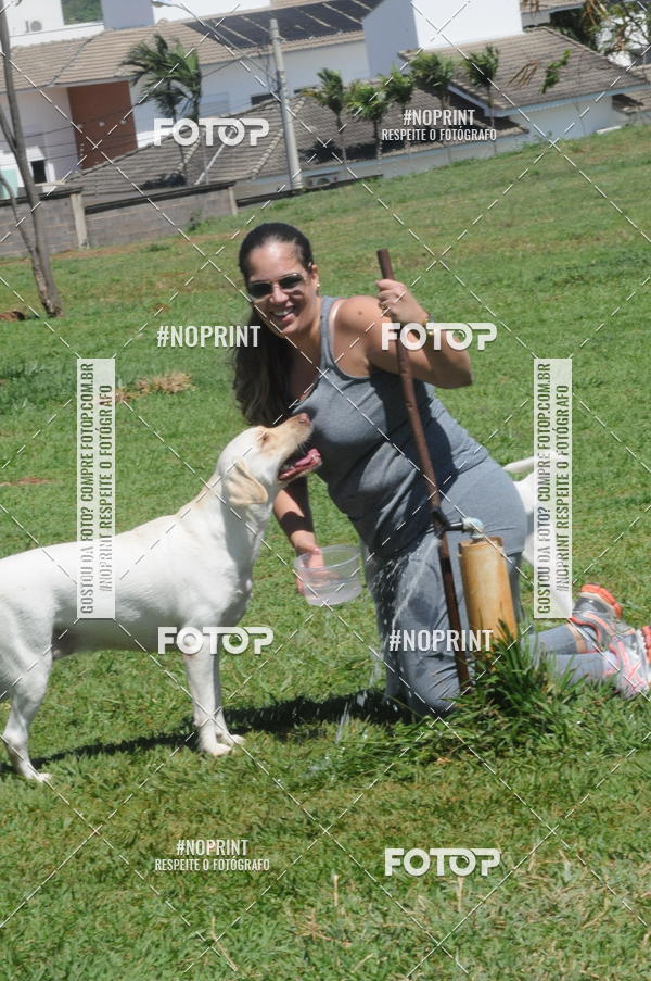 Buy your photos of the eventEnsaio Fotografico Pets - LuClickPets - Fotografia de Animais on Fotop