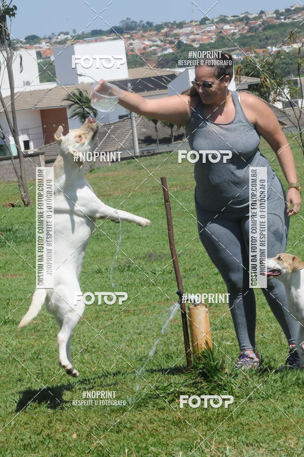 Buy your photos of the eventEnsaio Fotografico Pets - LuClickPets - Fotografia de Animais on Fotop