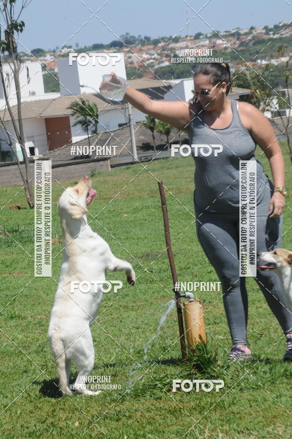 Buy your photos of the eventEnsaio Fotografico Pets - LuClickPets - Fotografia de Animais on Fotop