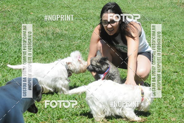 Buy your photos of the eventEnsaio Fotografico Pets - LuClickPets - Fotografia de Animais on Fotop