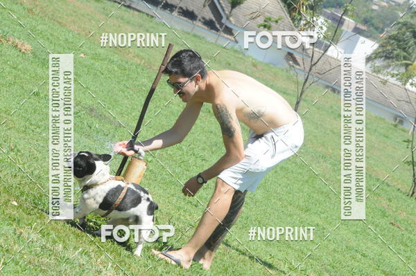 Buy your photos of the eventEnsaio Fotografico Pets - LuClickPets - Fotografia de Animais on Fotop