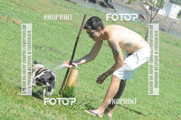 Buy your photos of the eventEnsaio Fotografico Pets - LuClickPets - Fotografia de Animais on Fotop