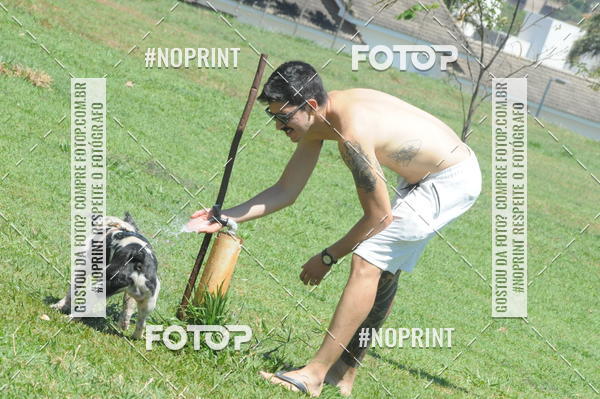 Buy your photos of the eventEnsaio Fotografico Pets - LuClickPets - Fotografia de Animais on Fotop