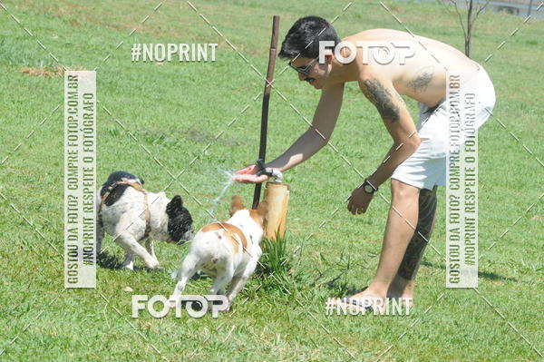 Buy your photos of the eventEnsaio Fotografico Pets - LuClickPets - Fotografia de Animais on Fotop