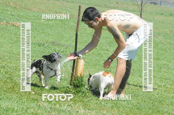 Buy your photos of the eventEnsaio Fotografico Pets - LuClickPets - Fotografia de Animais on Fotop