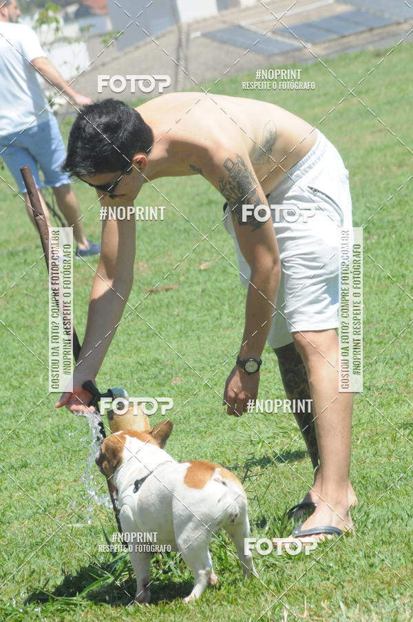 Buy your photos of the eventEnsaio Fotografico Pets - LuClickPets - Fotografia de Animais on Fotop