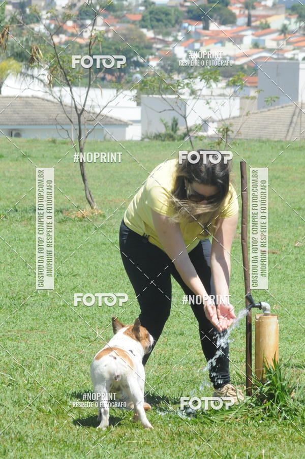 Buy your photos of the eventEnsaio Fotografico Pets - LuClickPets - Fotografia de Animais on Fotop