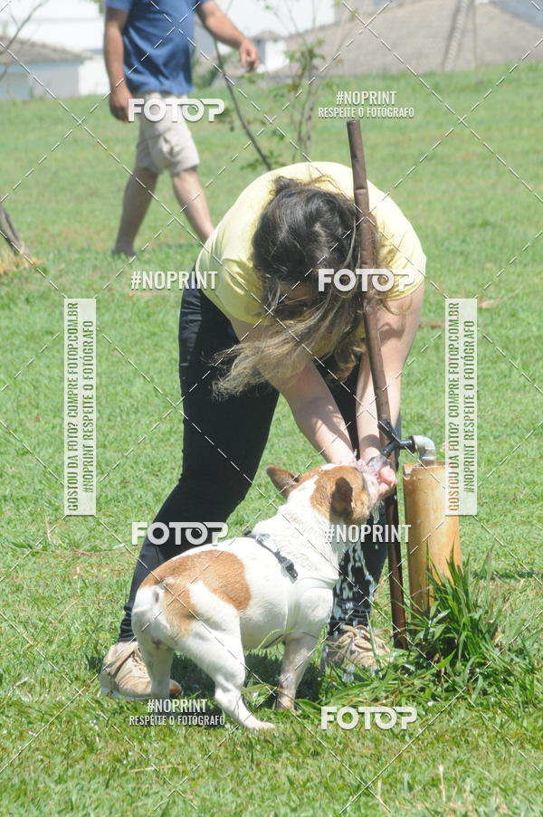 Buy your photos of the eventEnsaio Fotografico Pets - LuClickPets - Fotografia de Animais on Fotop