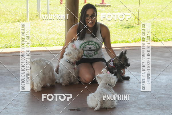 Buy your photos of the eventEnsaio Fotografico Pets - LuClickPets - Fotografia de Animais on Fotop