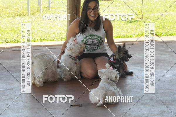 Buy your photos of the eventEnsaio Fotografico Pets - LuClickPets - Fotografia de Animais on Fotop