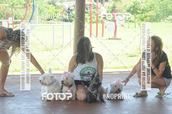 Buy your photos of the eventEnsaio Fotografico Pets - LuClickPets - Fotografia de Animais on Fotop