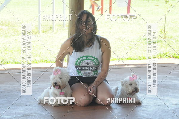 Buy your photos of the eventEnsaio Fotografico Pets - LuClickPets - Fotografia de Animais on Fotop