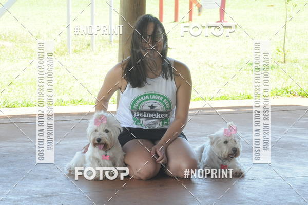 Buy your photos of the eventEnsaio Fotografico Pets - LuClickPets - Fotografia de Animais on Fotop
