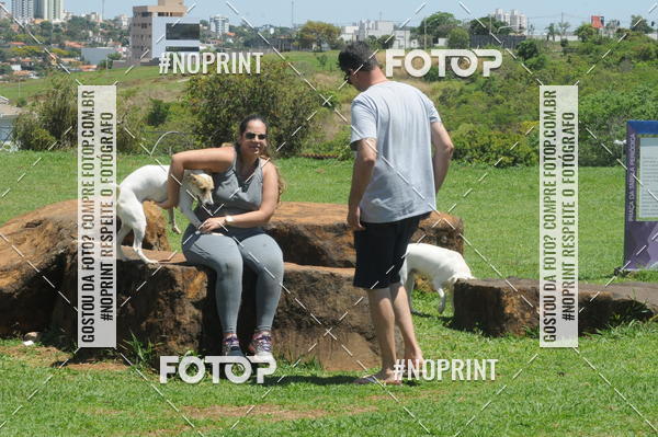 Buy your photos of the eventEnsaio Fotografico Pets - LuClickPets - Fotografia de Animais on Fotop