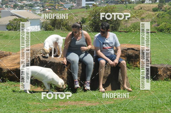 Buy your photos of the eventEnsaio Fotografico Pets - LuClickPets - Fotografia de Animais on Fotop
