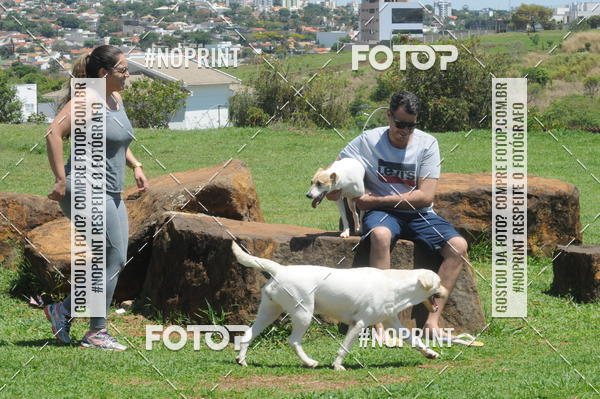 Buy your photos of the eventEnsaio Fotografico Pets - LuClickPets - Fotografia de Animais on Fotop