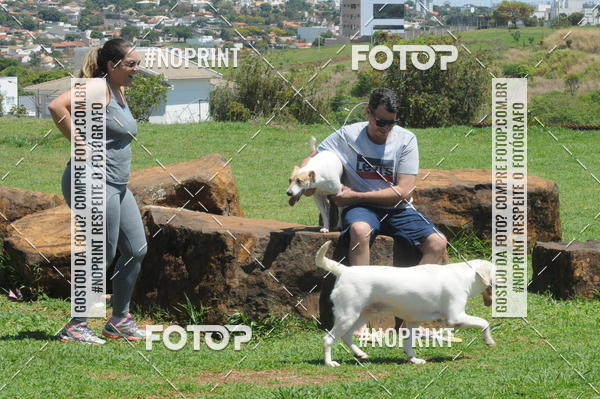 Buy your photos of the eventEnsaio Fotografico Pets - LuClickPets - Fotografia de Animais on Fotop