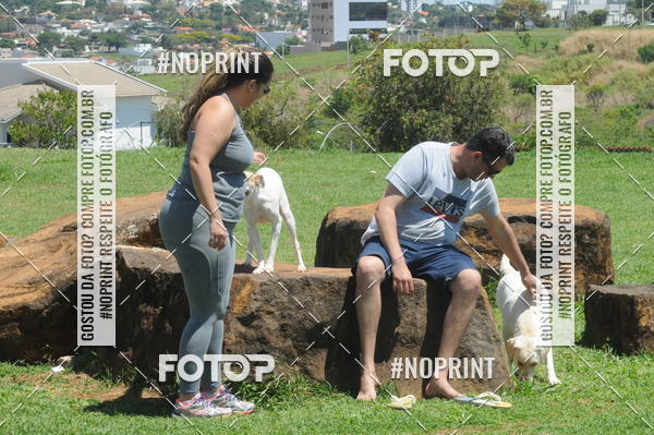 Buy your photos of the eventEnsaio Fotografico Pets - LuClickPets - Fotografia de Animais on Fotop