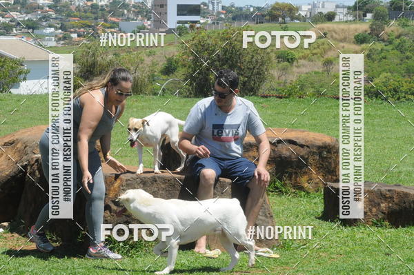 Buy your photos of the eventEnsaio Fotografico Pets - LuClickPets - Fotografia de Animais on Fotop