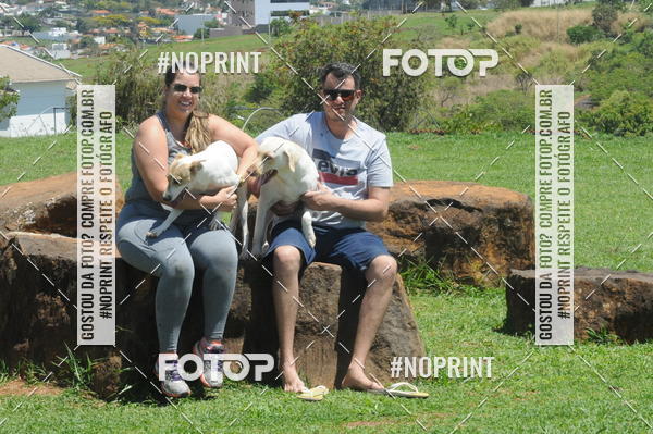 Buy your photos of the eventEnsaio Fotografico Pets - LuClickPets - Fotografia de Animais on Fotop