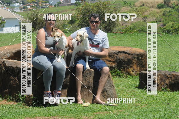 Buy your photos of the eventEnsaio Fotografico Pets - LuClickPets - Fotografia de Animais on Fotop