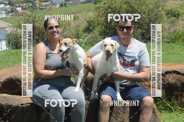 Buy your photos of the eventEnsaio Fotografico Pets - LuClickPets - Fotografia de Animais on Fotop