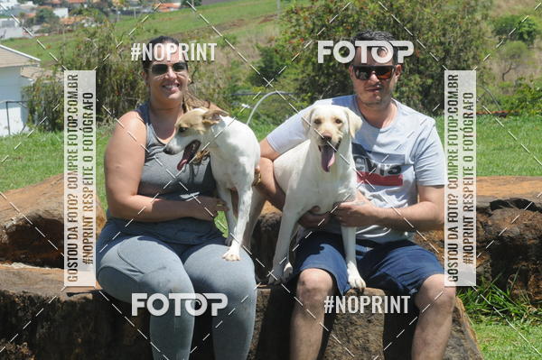 Buy your photos of the eventEnsaio Fotografico Pets - LuClickPets - Fotografia de Animais on Fotop