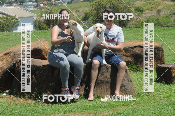 Buy your photos of the eventEnsaio Fotografico Pets - LuClickPets - Fotografia de Animais on Fotop