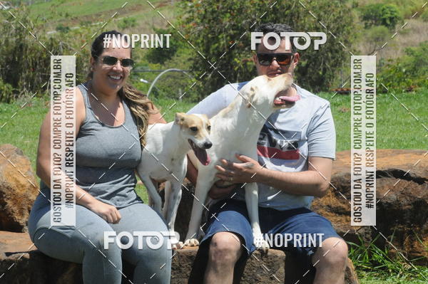 Buy your photos of the eventEnsaio Fotografico Pets - LuClickPets - Fotografia de Animais on Fotop