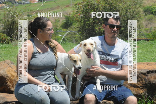 Buy your photos of the eventEnsaio Fotografico Pets - LuClickPets - Fotografia de Animais on Fotop