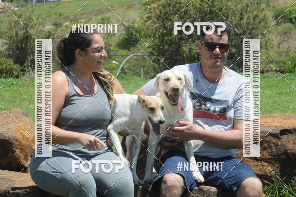 Buy your photos of the eventEnsaio Fotografico Pets - LuClickPets - Fotografia de Animais on Fotop