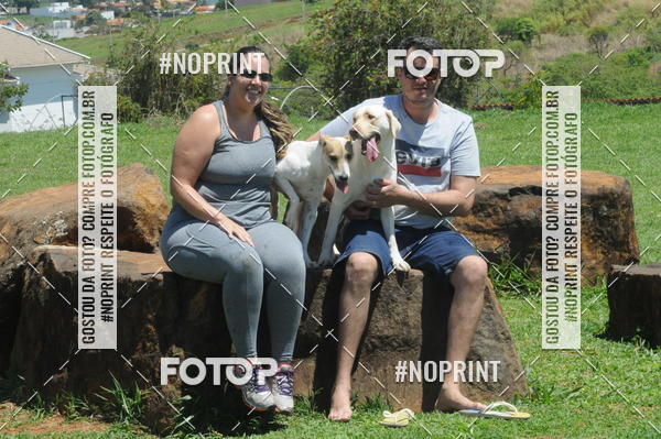 Buy your photos of the eventEnsaio Fotografico Pets - LuClickPets - Fotografia de Animais on Fotop