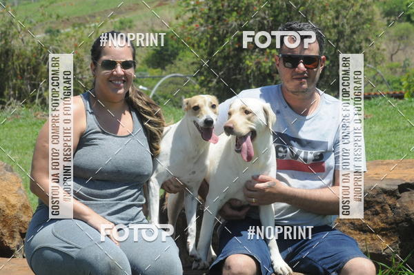 Buy your photos of the eventEnsaio Fotografico Pets - LuClickPets - Fotografia de Animais on Fotop